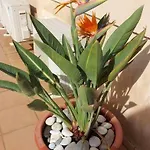 Apartment A2401 Penthouse Torrecilla Beach, La Cala De Ii, Nerja